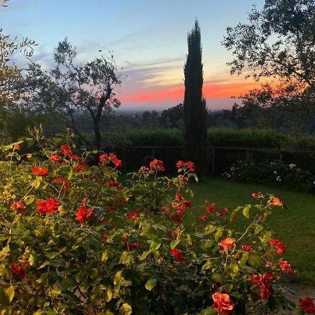 Podere Jana Antico Frantoio Guest House Vinci Exterior photo